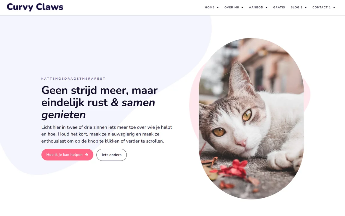 Homepage of the Curvy Claws website design