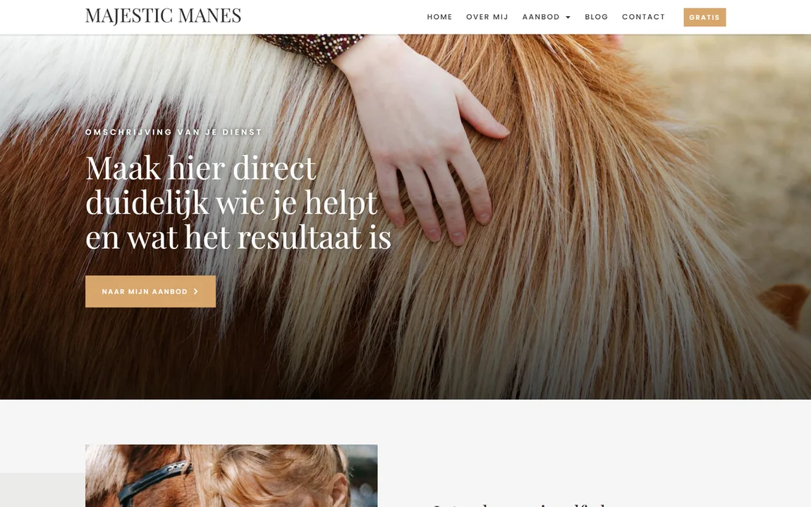 Homepage of the Majestic Manes website design