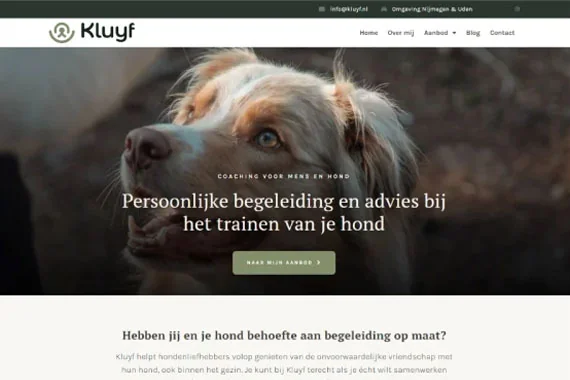 Website of Kluyf, built on a DigiPaws design