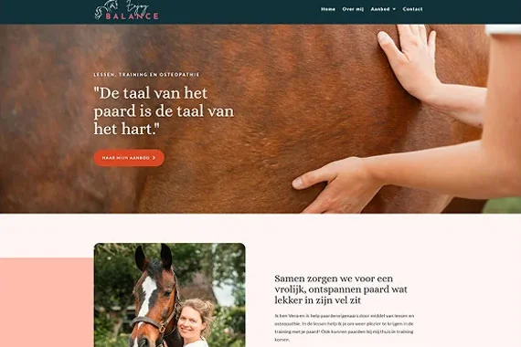Website of Vera Bergmeijer, built on a DigiPaws design