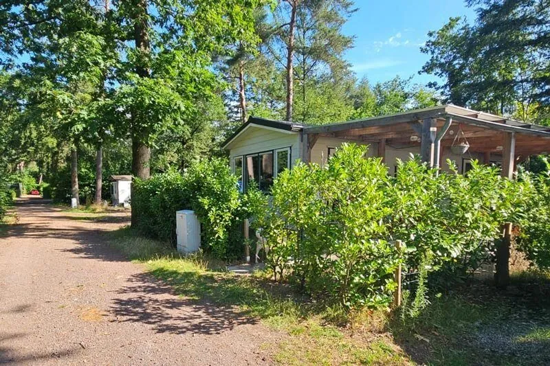 Simone’s little house in the woods