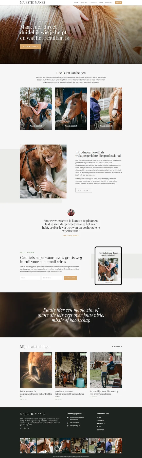 Majestic Manes website design for animal professionals: homepage, version 1